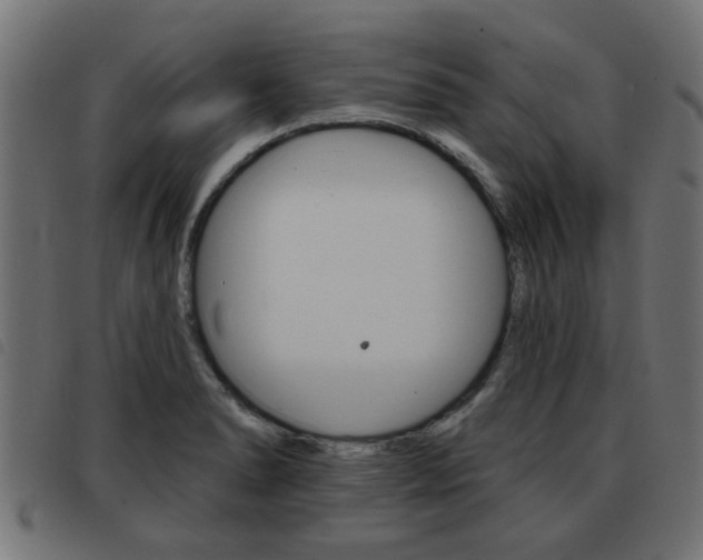 X0000093421278200710120849