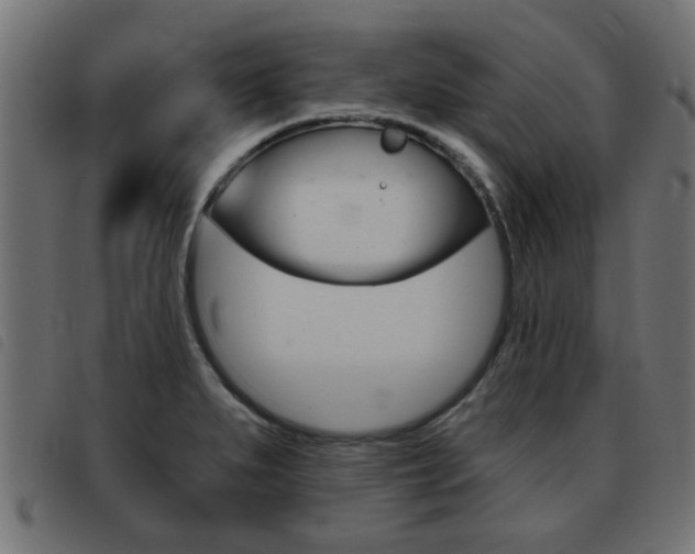 X0000093421279200710120849