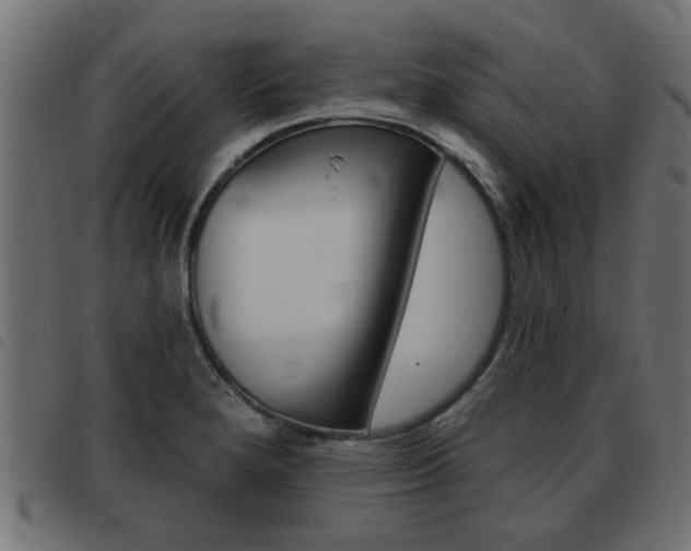 X0000093421280200710120849