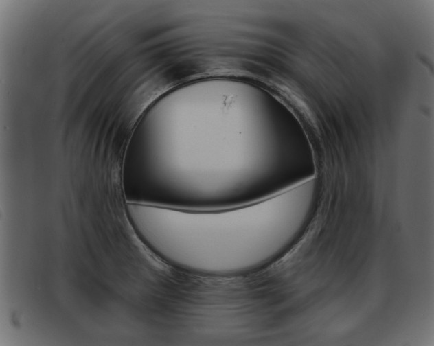 X0000093421281200710120849