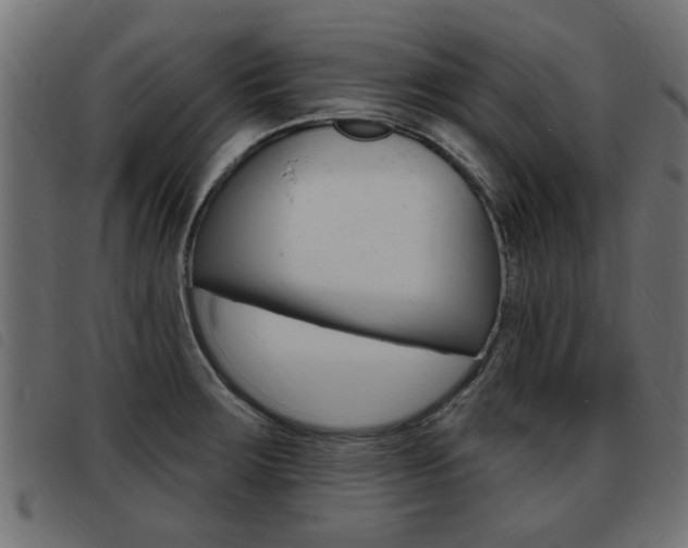 X0000093421283200710120849