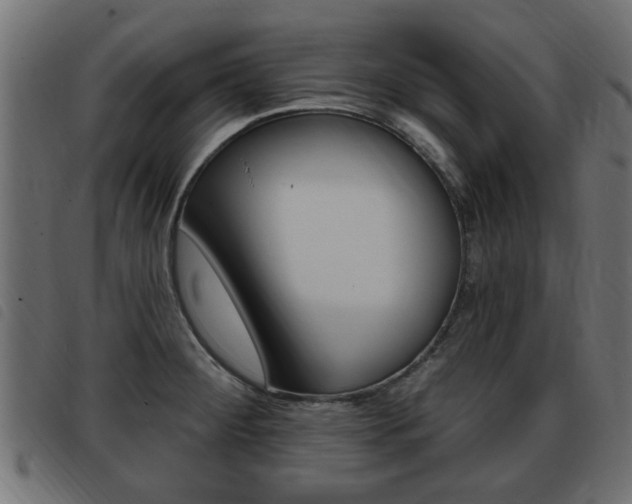 X0000093421284200710120849