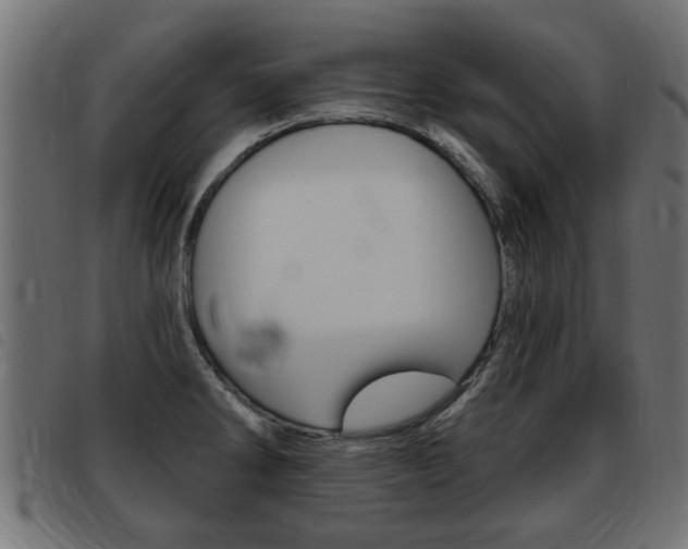 X0000093421286200710120849