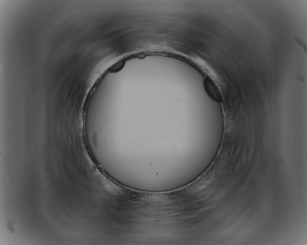 X0000093421287200710120849