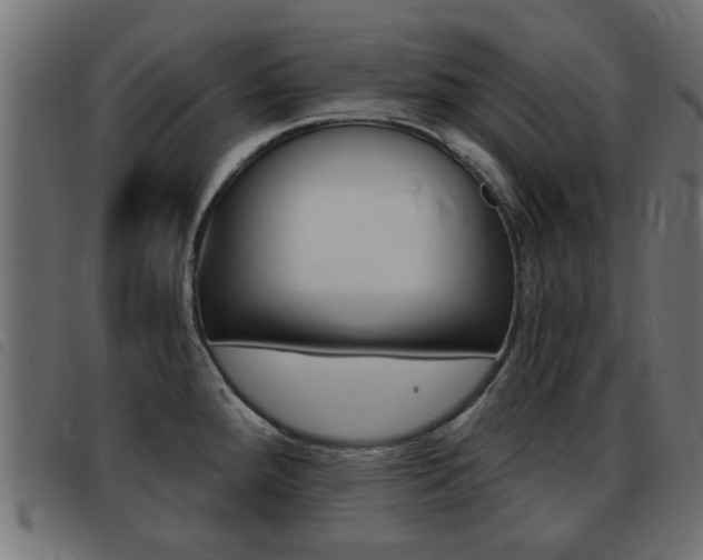 X0000093421288200710120849