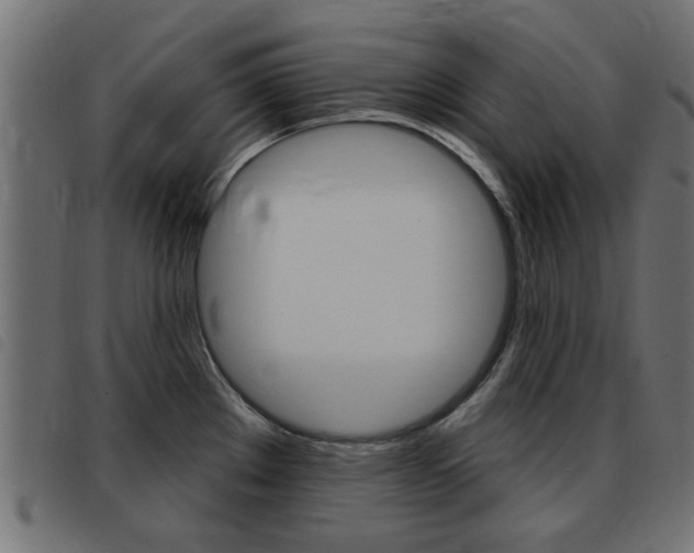 X0000093421289200710120849