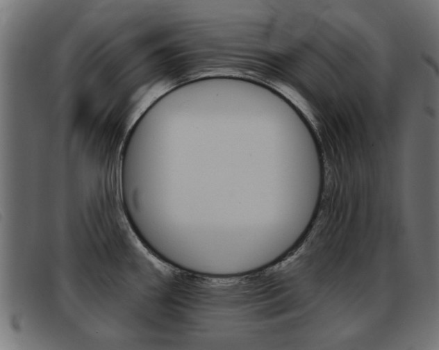 X0000093421290200710120849