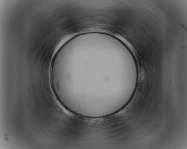 X0000093421294200710120849