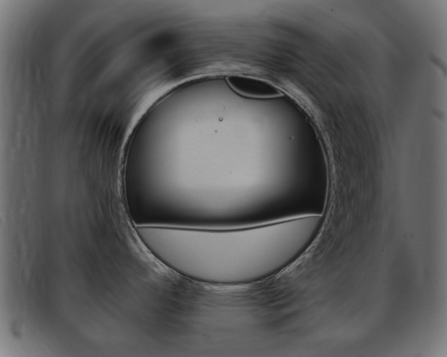 X0000093421296200710120849