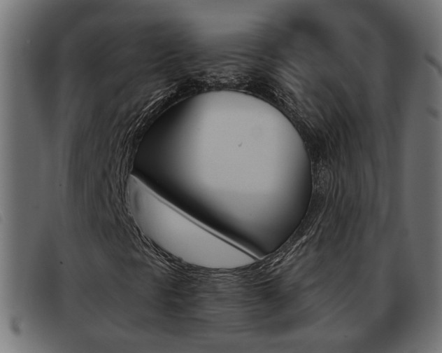 X0000093421297200710120848