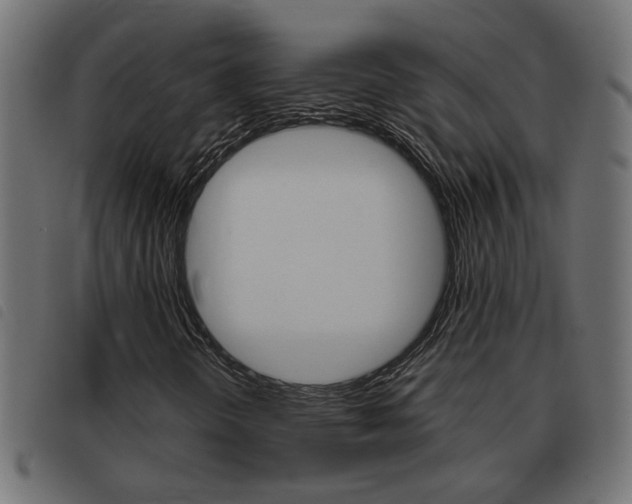 X0000093421298200710120848