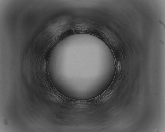 X0000093421299200710120848