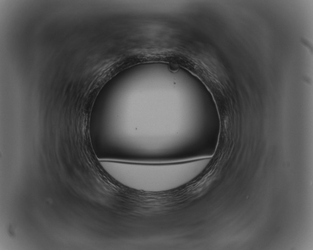 X0000093421300200710120848