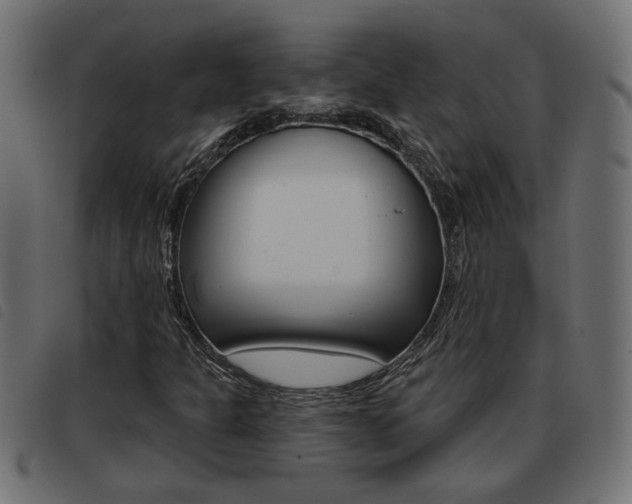 X0000093421301200710120848
