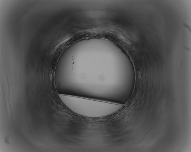 X0000093421302200710120848