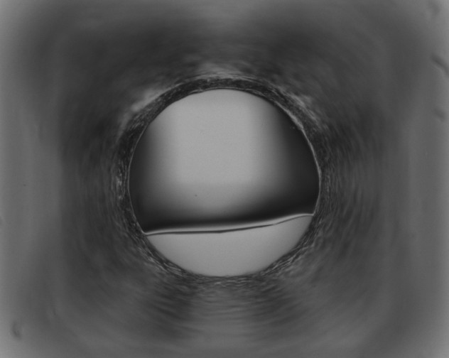 X0000093421303200710120848