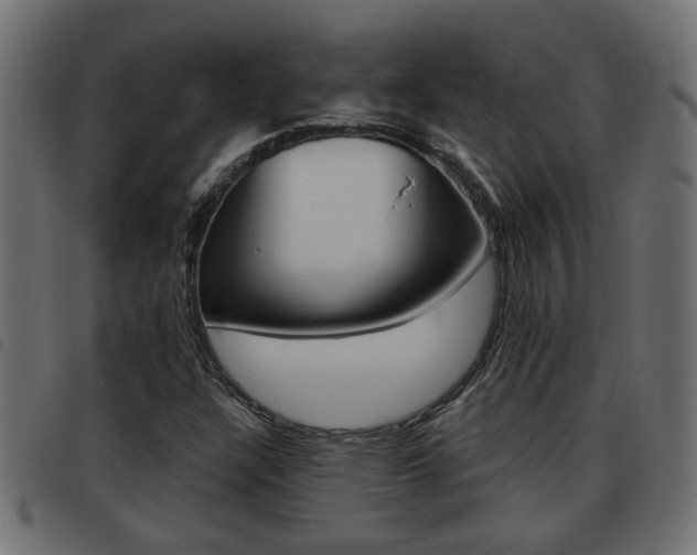 X0000093421304200710120848