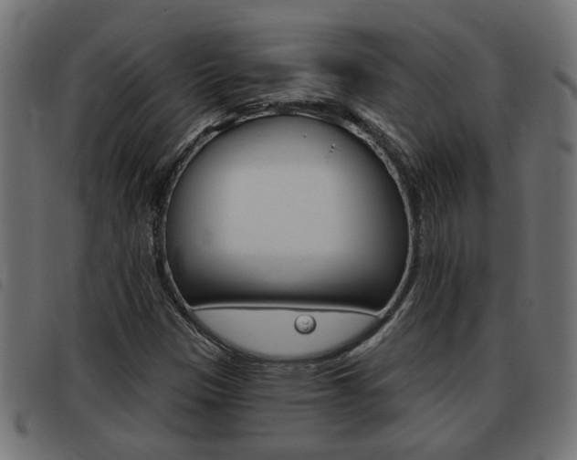 X0000093421305200710120848