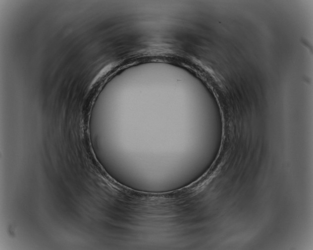 X0000093421306200710120848