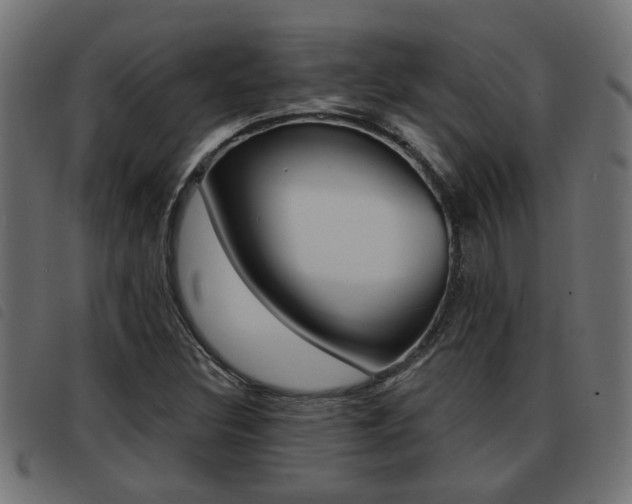 X0000093421308200710120848