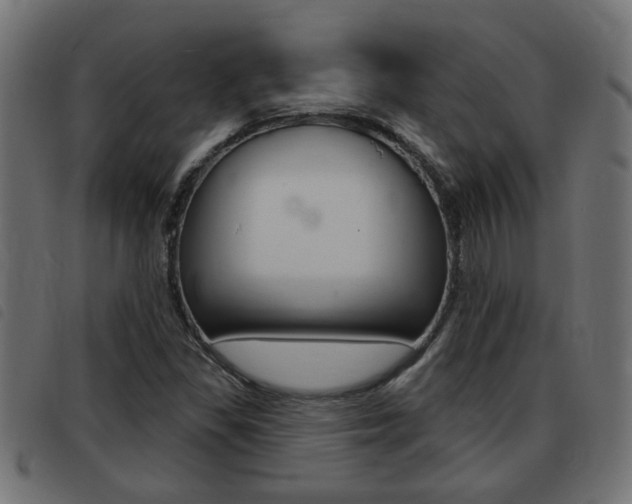 X0000093421309200710120848