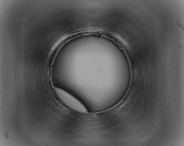 X0000093421310200710120848