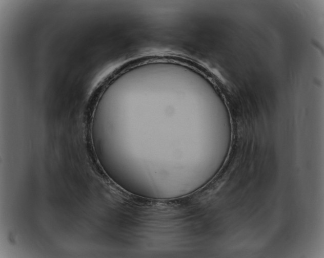 X0000093421311200710120848