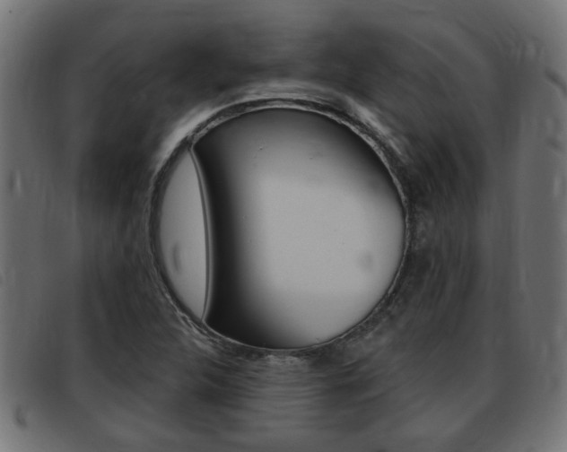 X0000093421312200710120848