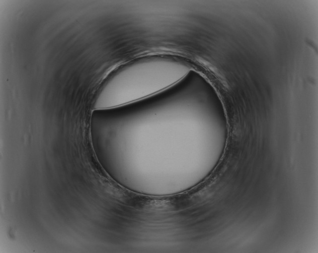 X0000093421313200710120848