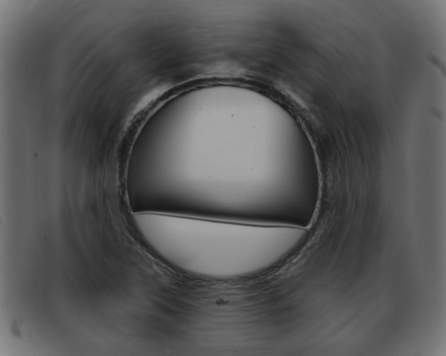 X0000093421315200710120848