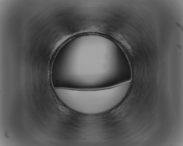X0000093421316200710120848