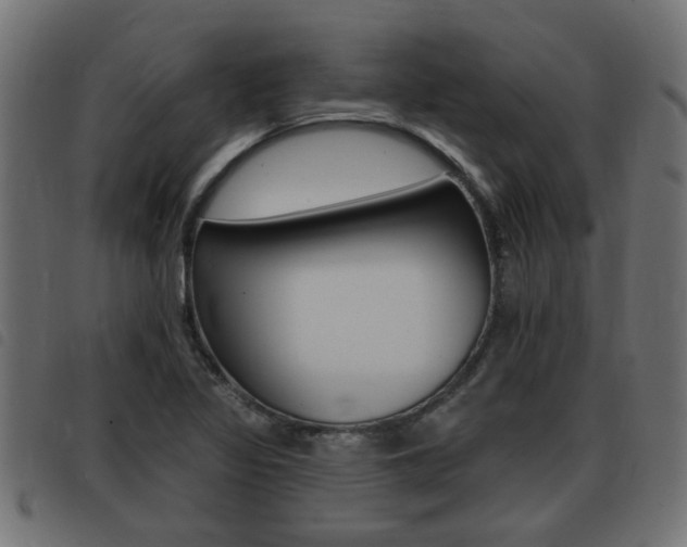X0000093421317200710120848