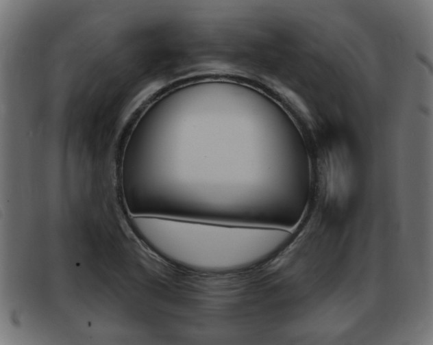 X0000093421318200710120848