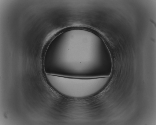 X0000093421319200710120848