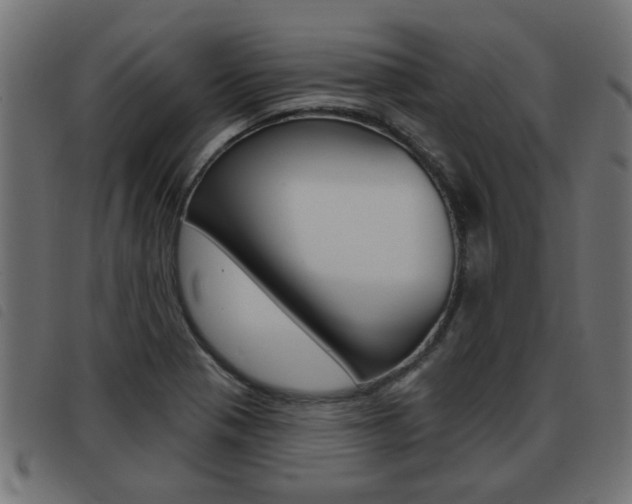 X0000093421321200710120848
