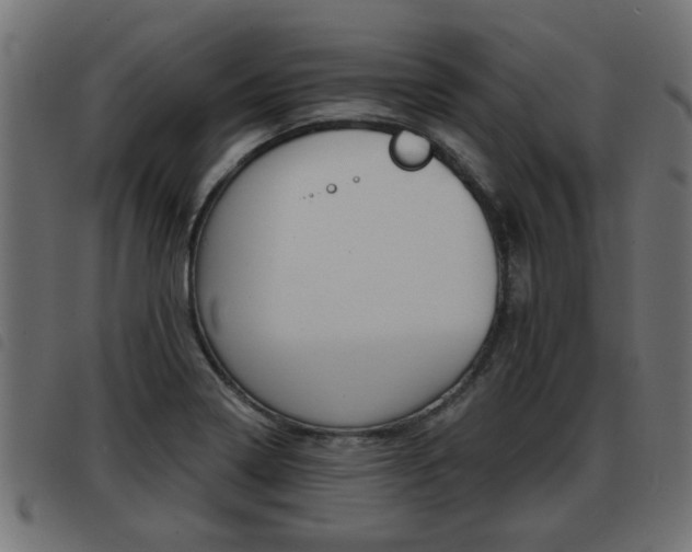 X0000093421322200710120848