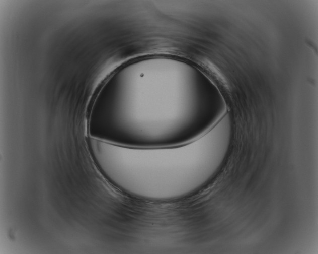 X0000093421324200710120848