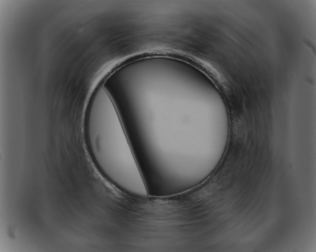 X0000093421327200710120848