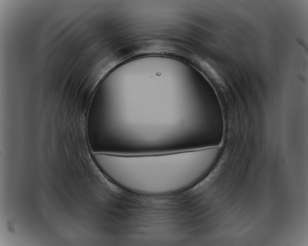 X0000093421329200710120848