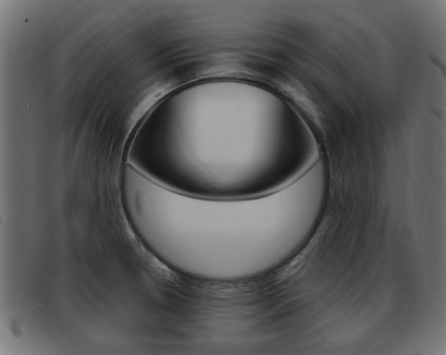 X0000093421330200710120848