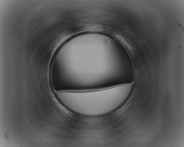 X0000093421331200710120848