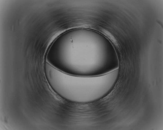 X0000093421332200710120848