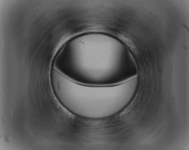 X0000093421334200710120848