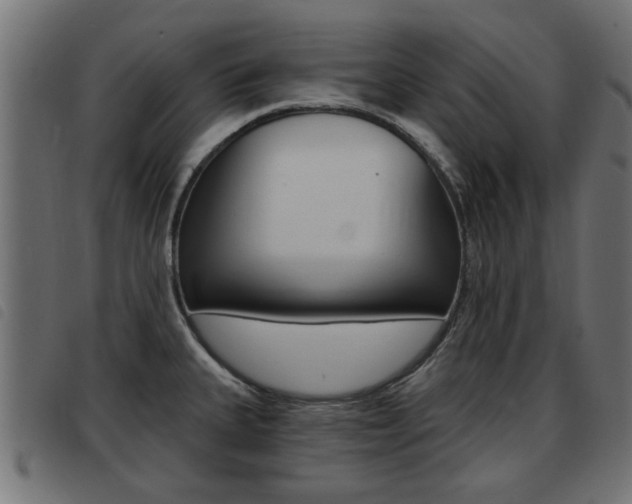 X0000093421335200710120848
