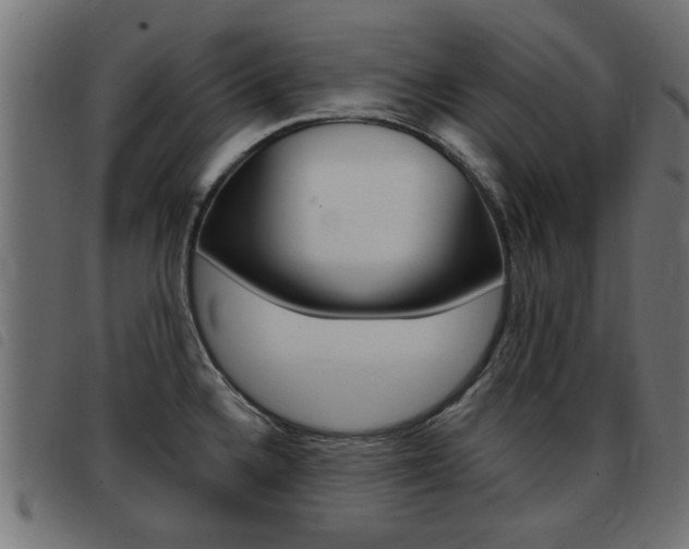 X0000093421336200710120848
