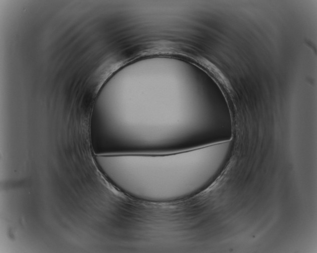 X0000093421337200710120849