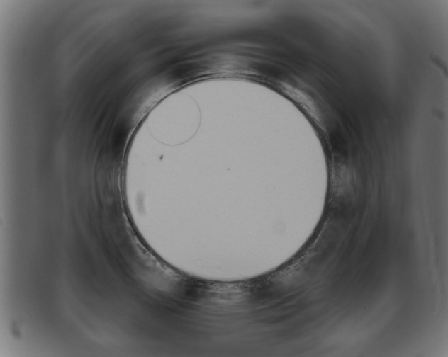 X0000093421338200710120849
