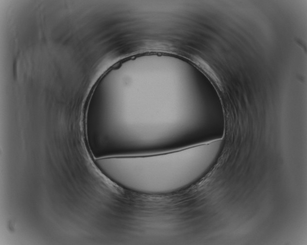 X0000093421339200710120849