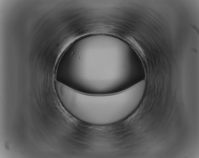 X0000093421340200710120849