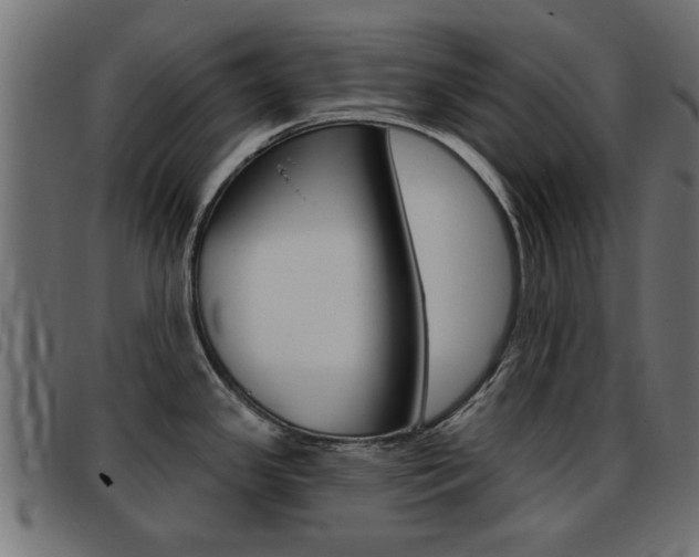 X0000093421341200710120849